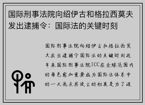 国际刑事法院向绍伊古和格拉西莫夫发出逮捕令：国际法的关键时刻